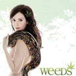 WEEDS