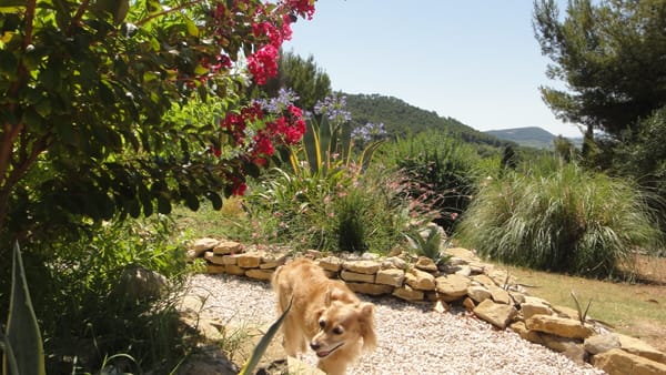 Les Quatre-Saisons, vu par Charlotte en vacances en Provence