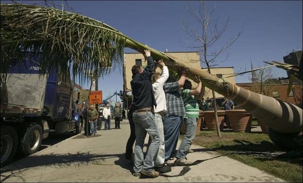 Le gay qui plantait des arbres