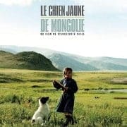 Le chien jaune de Mongolie