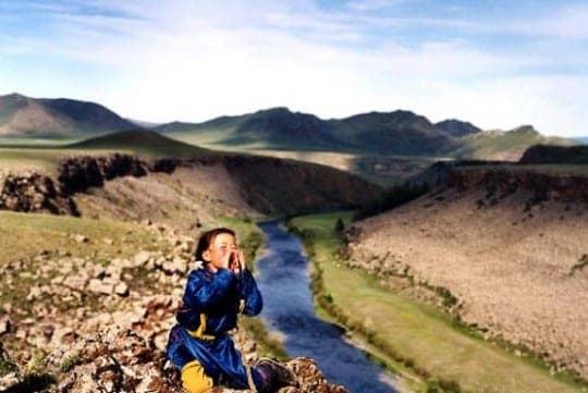 Le chien jaune de Mongolie