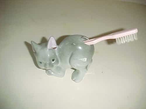 chat_brosse_a_dent_dans_le_cul1