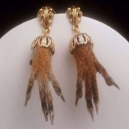 pendants_d_oreille_taxidermiste